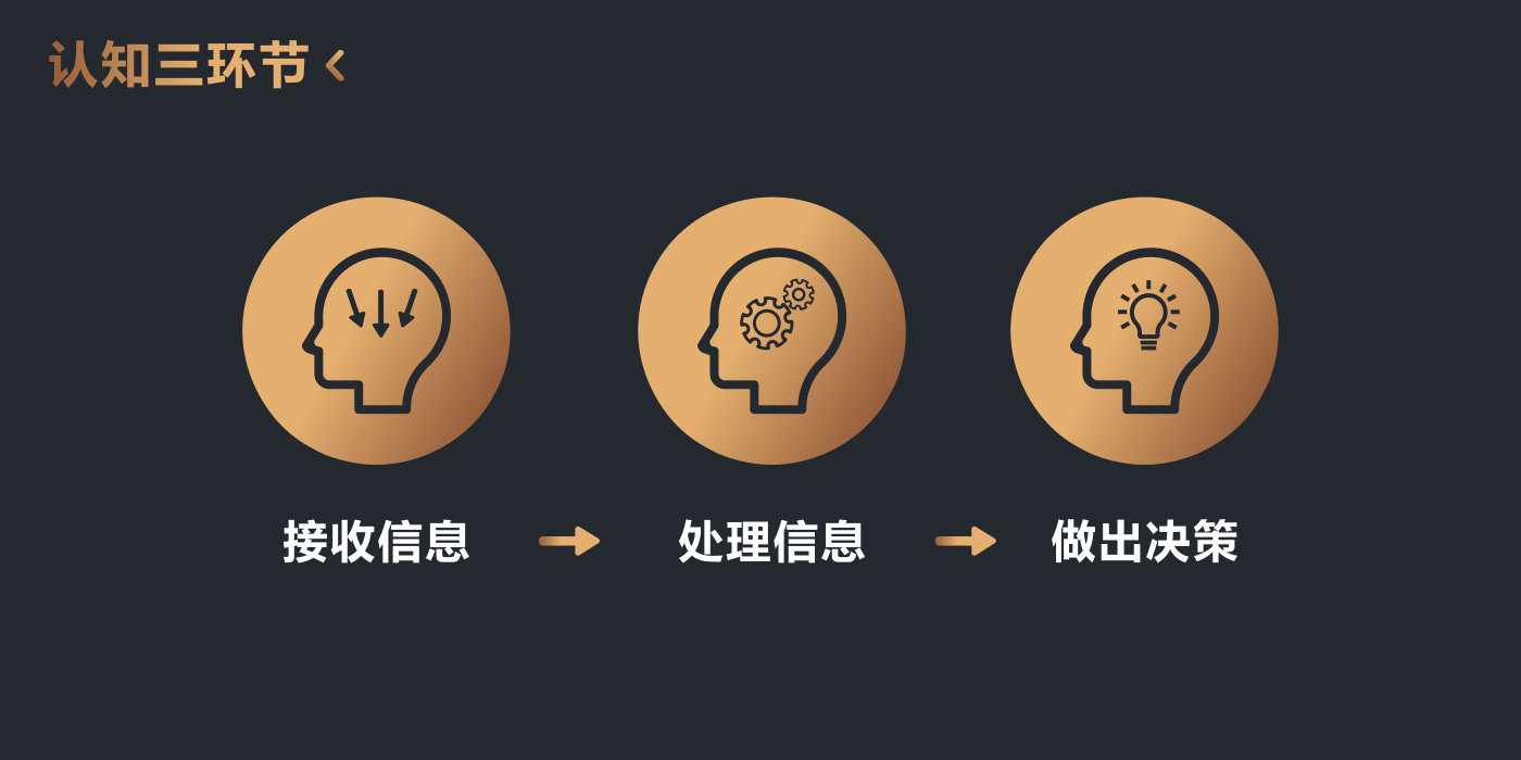 认知三环节