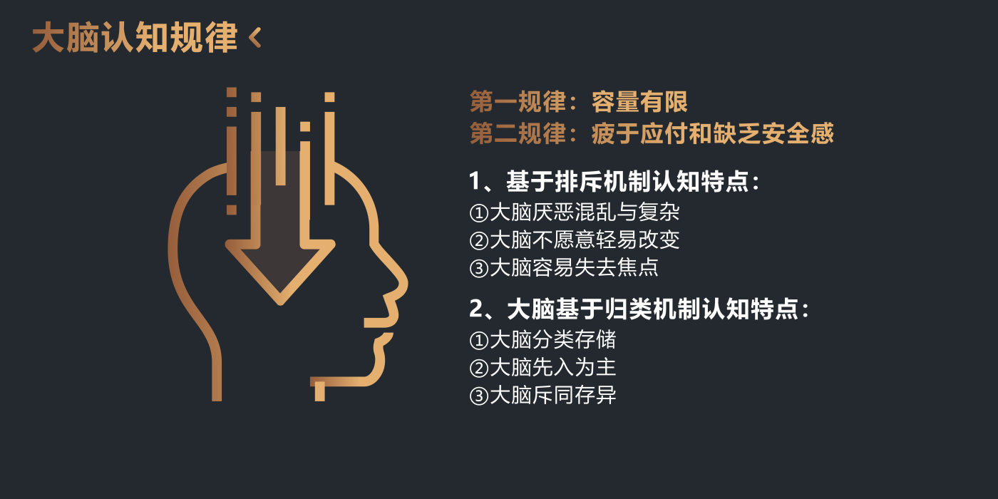 大脑认知规律